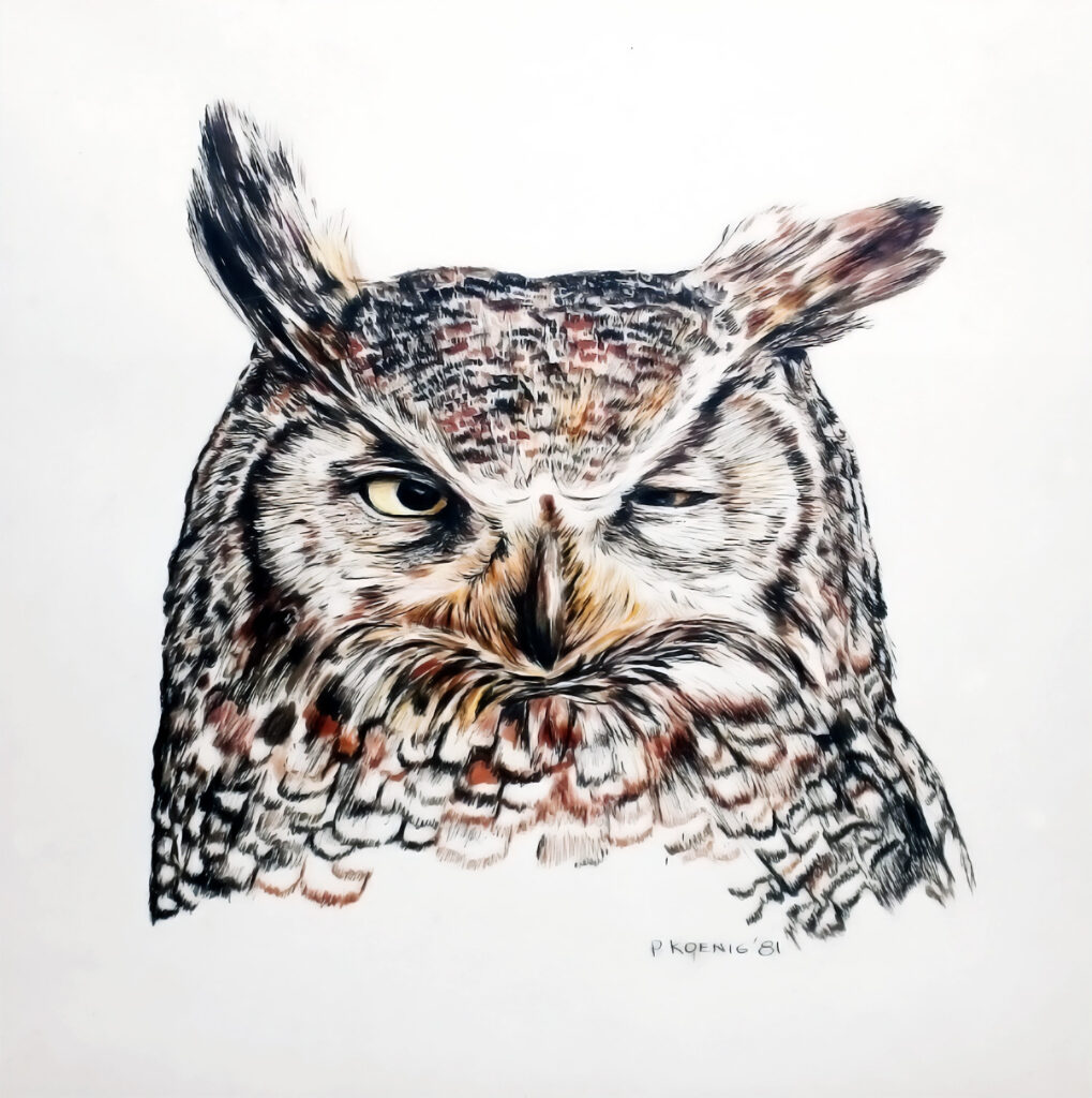 "The Great Horned Owl" - Pen and ink on vellum by Peter Koenig