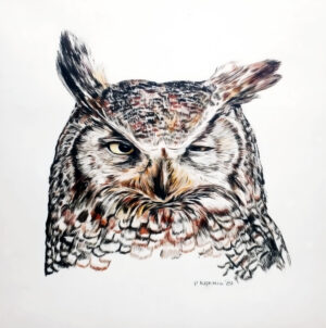 “The Great Horned Owl” – Archival Print