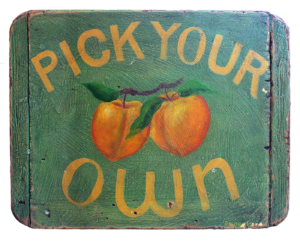 “Pick Your Own”