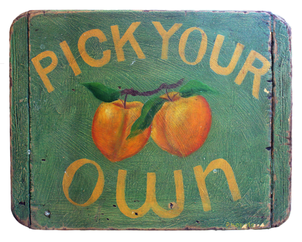 "Pick Your Own" - Farmstand sign made with mixed media on a reclaimed period wood panel