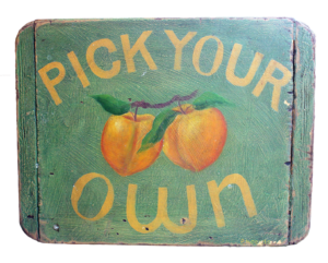 “Pick Your Own”