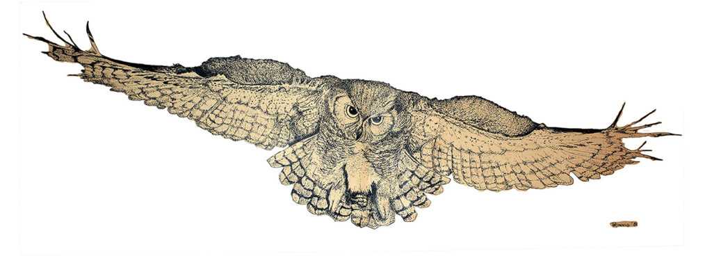 "Owl in Flight" - Pen and ink on vellum by Peter Koenig